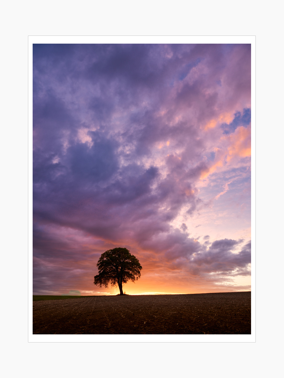 Max Schiefele Alle Bilder  DSF2353